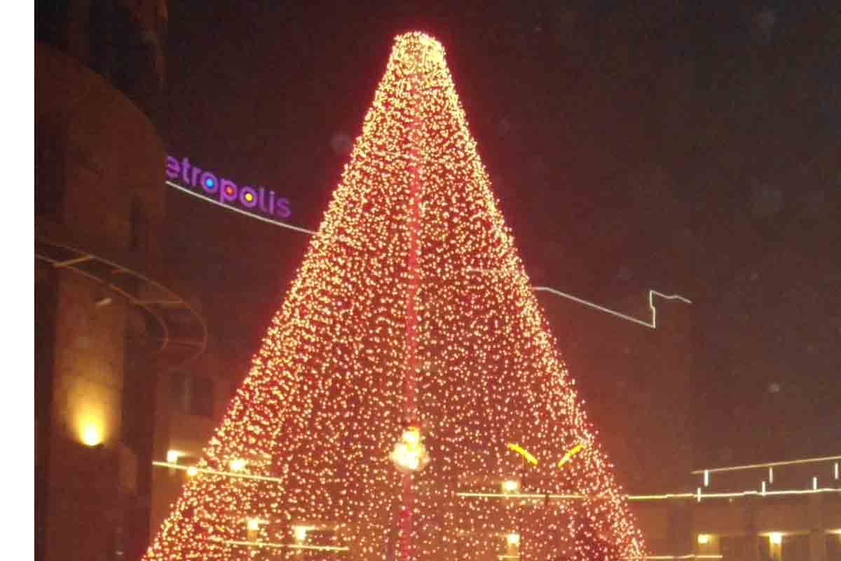 DSC02005
